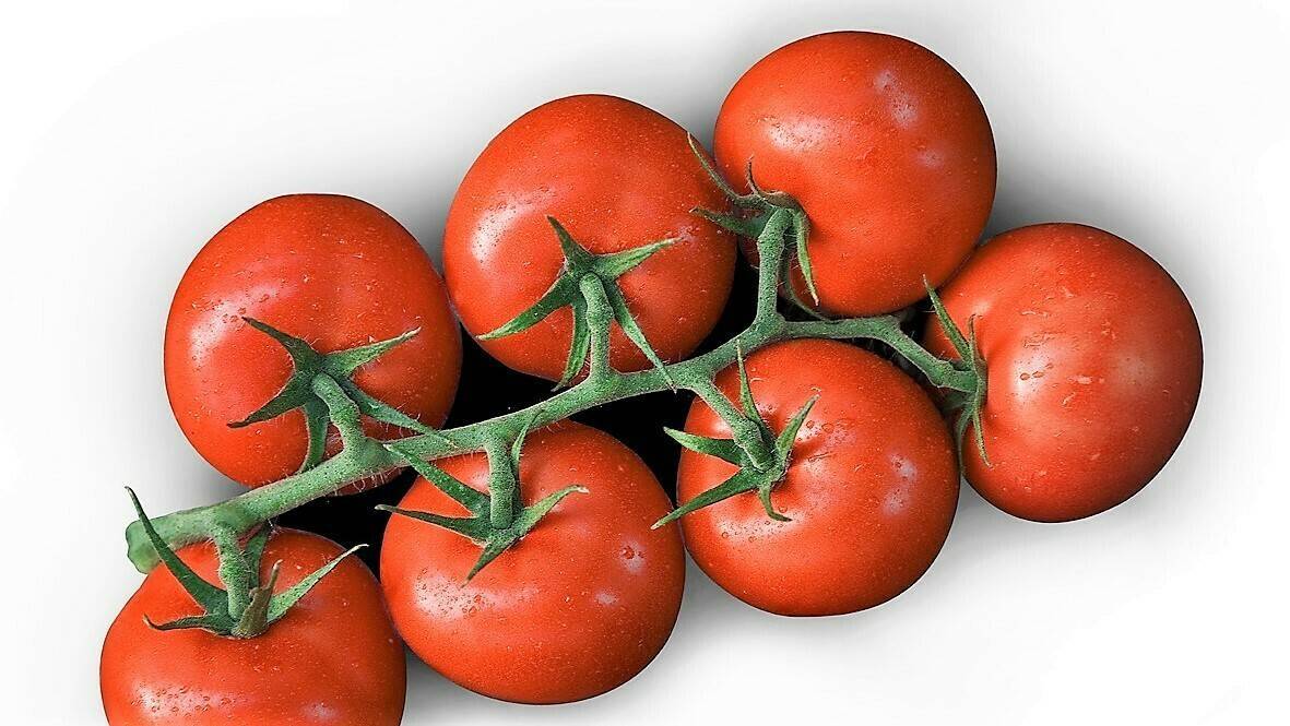 Tomate Alemania 2|Tomate Beef Alemania|Tomate Cherry Alemania|Tomate racimo Alemania|Tomates promedios Alemania|Tomate holandés Alemania|Tomate español Alemania|Tomate belga Alemania|Tomate alemán Alemania|Tomate italiano Alemania|Tomate marroqui Alemania